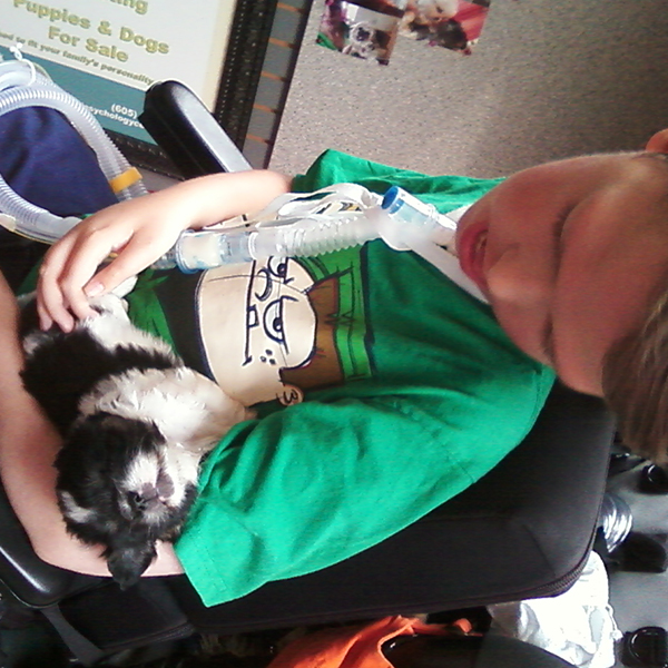 Young boy with his service dog, a Shih Tzu, from my breeding program.