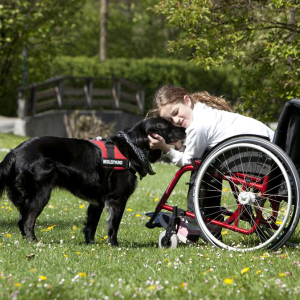 Girl with a Service Dog